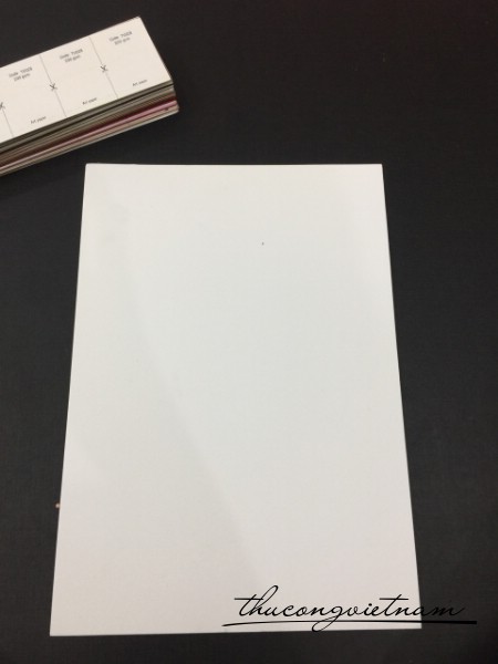 TV362_250gsm Trắng nhũ dày 7k